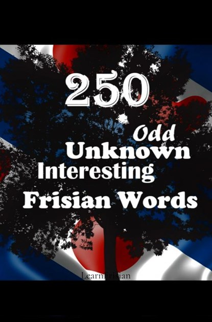 250 Odd, Unknown & Interesting Frisian Words, Auke de Haan - Paperback - 9789403668598