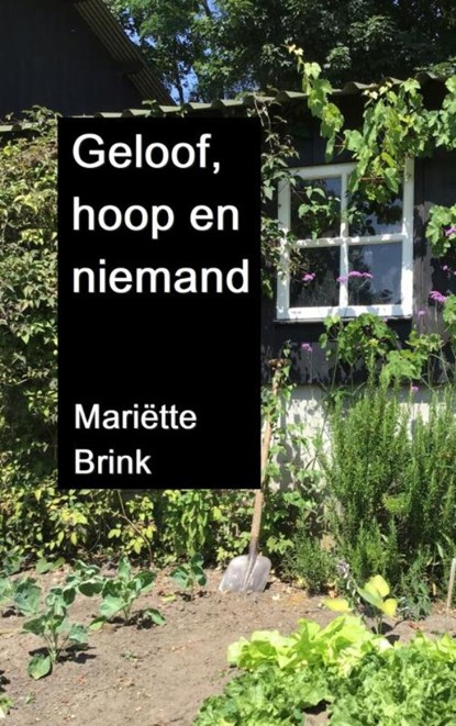 Geloof, hoop en niemand, Mariëtte Brink - Paperback - 9789403670881
