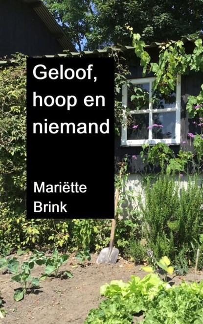 Geloof, hoop en niemand, Mariëtte Brink - Ebook - 9789403676432