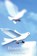 Duivenpost, Gerbrand Fenijn - Paperback - 9789403678368