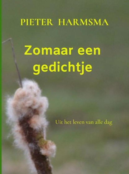 Zomaar een gedichtje, Pieter Harmsma - Paperback - 9789403679563