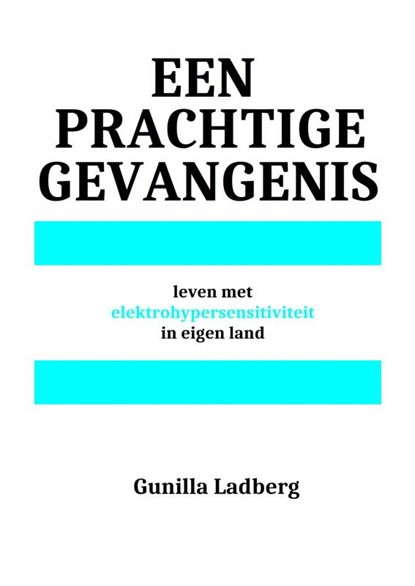 Een prachtige gevangenis, Gunilla Ladberg - Paperback - 9789403683331