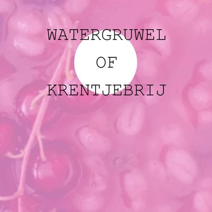Watergruwel of Krentjebrij, Jan Timmer - Paperback - 9789403689265