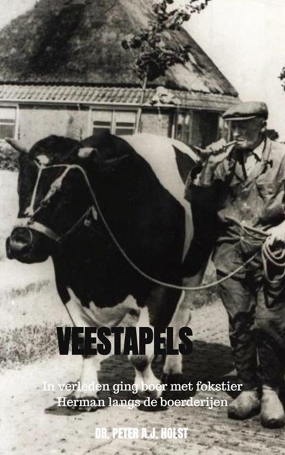 Veestapels, Dr. Peter A.J. Holst - Paperback - 9789403690193