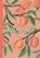 Notebook | Journal with digitally handmade Illustrated Hardcover | Peach, Sart By Sara Baptista - Gebonden - 9789403690438