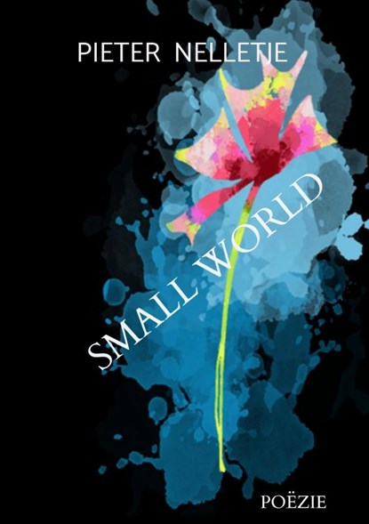 SMALL WORLD, Pieter Nelletje - Paperback - 9789403703442