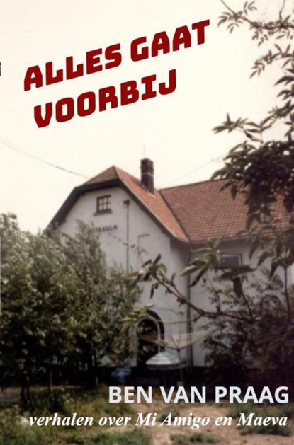 Alles gaat voorbij, Ben Van Praag - Ebook - 9789403709093