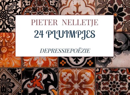 24 pluimpjes, Pieter Nelletje - Paperback - 9789403712956