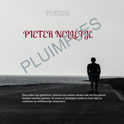 PLUIMPJES, Pieter Nelletje - Paperback - 9789403713120