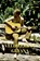 Veldwerk in Guyana, Ruud Offermans - Paperback - 9789403718507