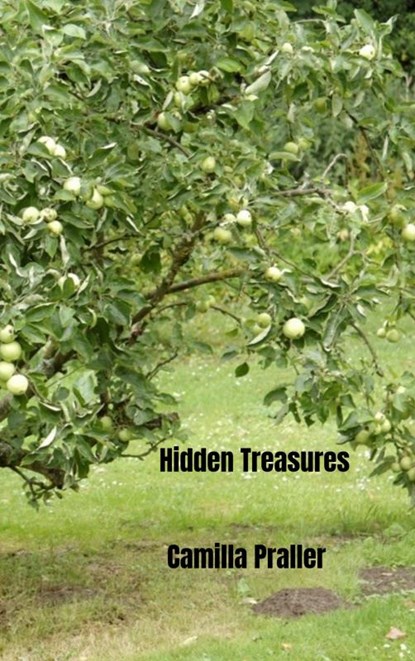 Hidden Treasures, Camilla Praller - Paperback - 9789403719993