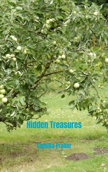 Hidden Treasures, Camilla Praller - Paperback - 9789403725079
