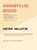 AMARYLLIS ROOD, Pieter Nelletje - Paperback - 9789403726069