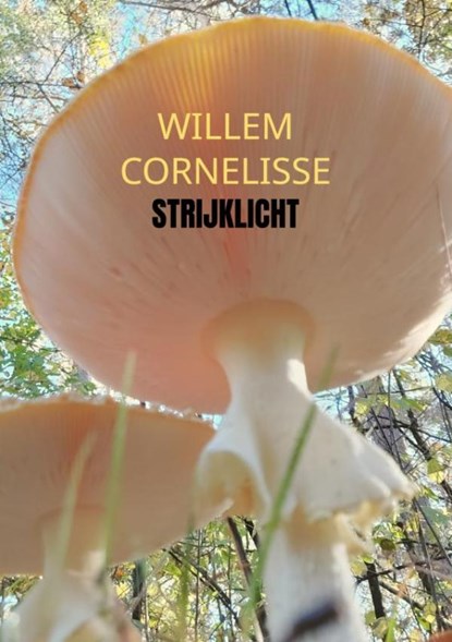 Strijklicht, Willem Cornelisse - Paperback - 9789403726250