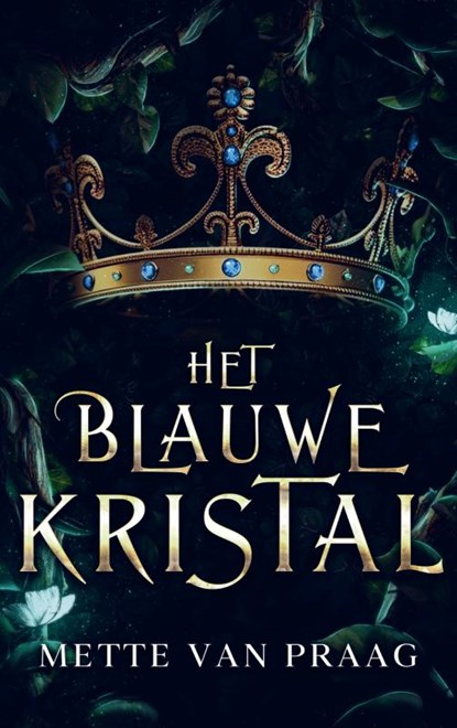 Het blauwe kristal, Mette van Praag - Paperback - 9789403726366