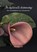 In liefdevolle herinnering, Alexandra Wit - Paperback - 9789403729923