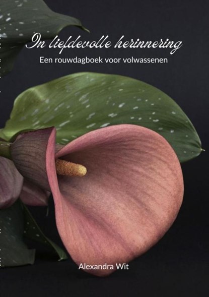 In liefdevolle herinnering, Alexandra Wit - Paperback - 9789403729923