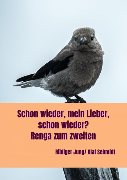 der zweite teil, Olaf Schmidt - Paperback - 9789403736259