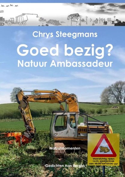 GOED BEZIG?, Chrys Steegmans - Paperback - 9789403737034
