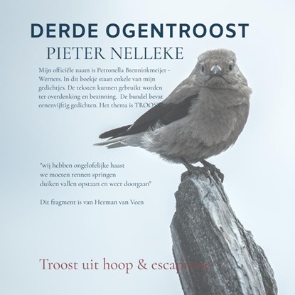 DERDE OGENTROOST, PIETER NELLEKE - Paperback - 9789403738413