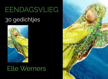 EENDAGSVLIEG, Elle Werners - Paperback - 9789403743691