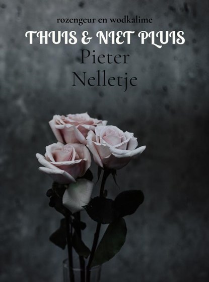 THUIS & NIET PLUIS, Pieter Nelletje - Paperback - 9789403745435