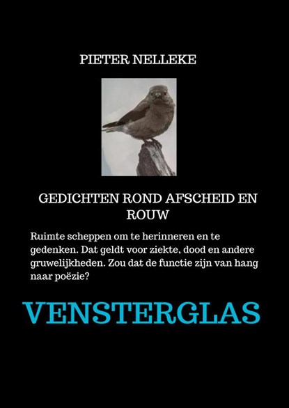 vensterglas, Elle Werners - Paperback - 9789403745640