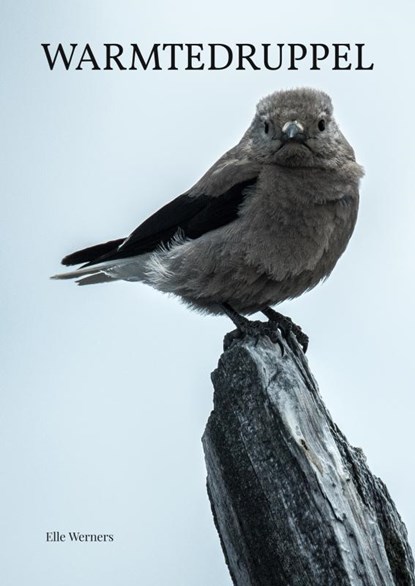 WARMTEDRUPPEL, Elle Werners - Paperback - 9789403753232