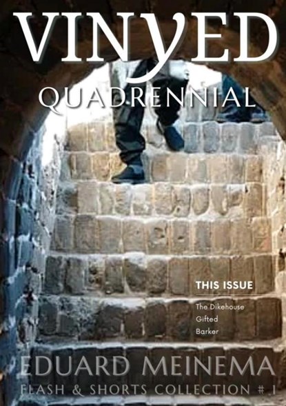 Quadrennial, Eduard Meinema - Paperback - 9789403757940
