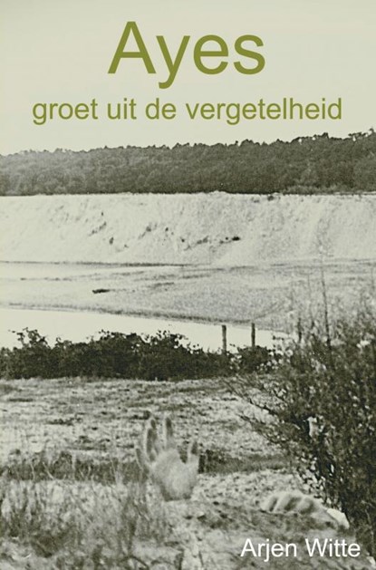 Ayes groet uit de vergetelheid, Arjen Witte - Paperback - 9789403764283