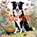 Avonturen van Border Collie Rex, Kelly Black - Paperback - 9789403771243