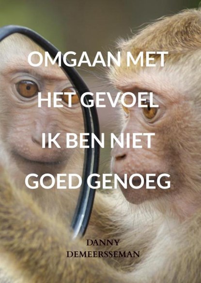 Omgaan met het gevoel ik ben niet goed genoeg, Danny Demeersseman - Paperback - 9789403771373