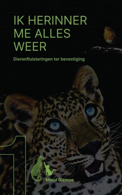 Ik herinner me alles weer, Maud Gizmoo - Paperback - 9789403787374