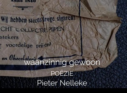 waanzinnig gewoon, Pieter Nelleke - Paperback - 9789403789156