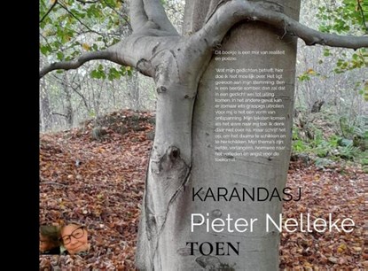 GEDICHTEN, Pieter Nelleke - Paperback - 9789403796383