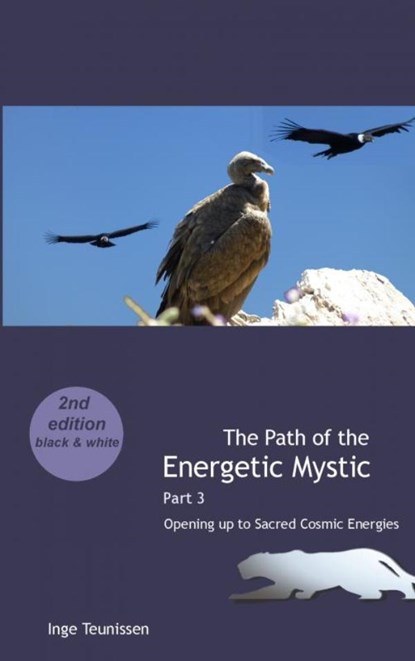 The Path of the Energetic Mystic, Inge Teunissen - Paperback - 9789403798691
