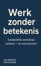 WERK ZONDER BETEKENIS - Joris Beekman - 9789403802411