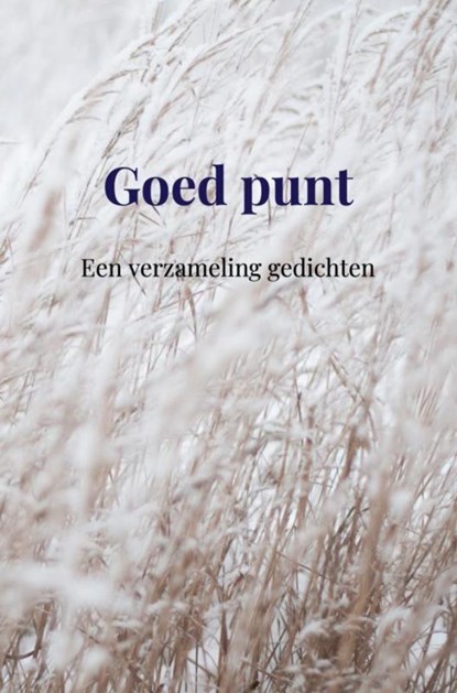 Goed punt, Anna De Rijk - Gebonden - 9789403806532
