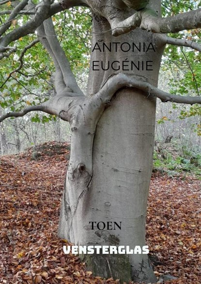 VENSTERGLAS, Antonia Eugénie - Paperback - 9789403812014