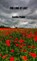 FOR LONG AT LAST, Camilla Praller - Paperback - 9789403812243