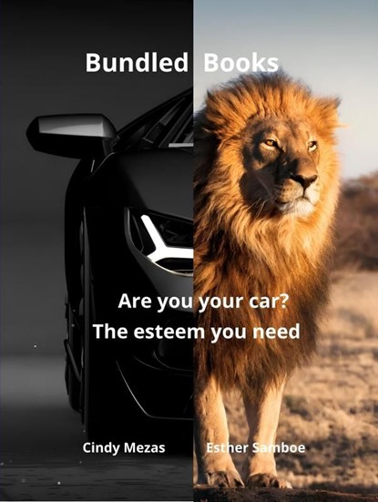 Bundled Books: Are You Your Car? | The Esteem You Need, Cindy Mezas ; Esther Samboe - Ebook - 9789403812823
