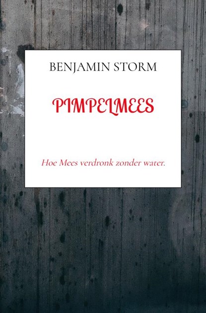 Pimpelmees, Benjamin Storm - Paperback - 9789403814858