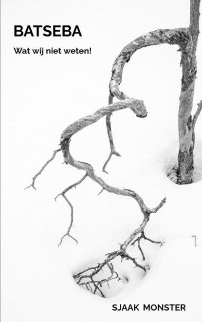 Batseba, Sjaak Monster - Paperback - 9789403814957
