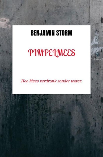 Pimpelmees, Benjamin Storm - Ebook - 9789403819020