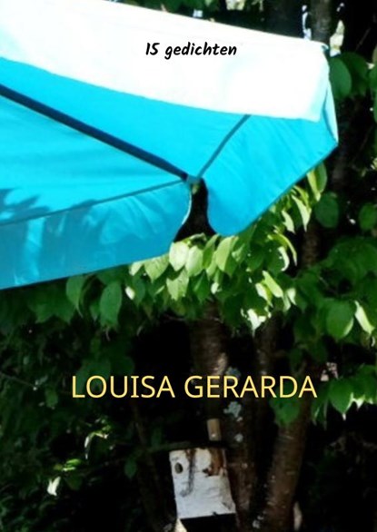 elkaar steeds weer ontmoeten, LOUISA GERARDA - Paperback - 9789403824826