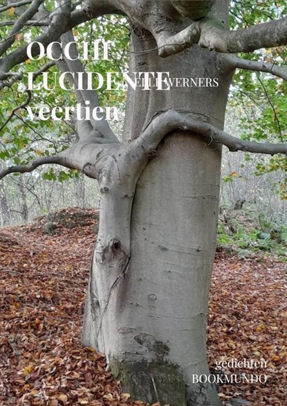 OCCHI LUCIDENTE, ELLE WERNERS - Paperback - 9789403826530