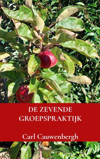 De zevende groepspraktijk, Carl Cauwenbergh - Paperback - 9789403837130