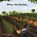 When the farmer..., Mary Paul - Paperback - 9789403839837