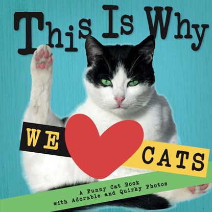 This Is Why We Love Cats, Emily Johnson - Paperback - 9789403842967