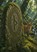 ᚨ, Ekster Alven - Paperback - 9789403843636